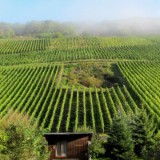 1109F 093 Trier-Paderborn